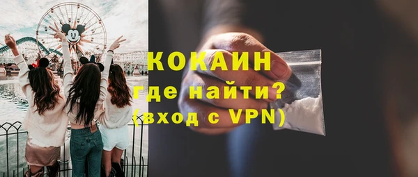 крисы Тавда