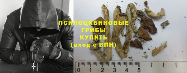 крисы Тавда