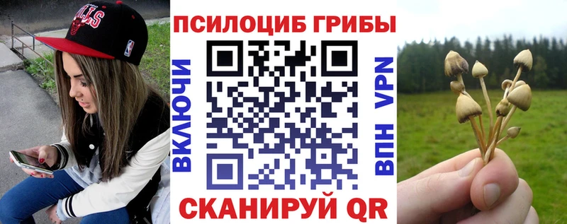 Купить  Карабаш  Галлюциногенные грибы MAGIC MUSHROOMS 